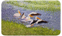 White Pelican Wings Bath Mat