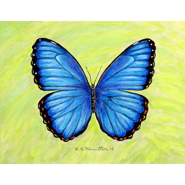 Dick's Blue Morpho Beach Towel
