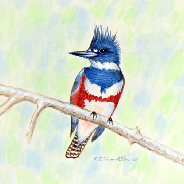 Kingfisher Beach Towel