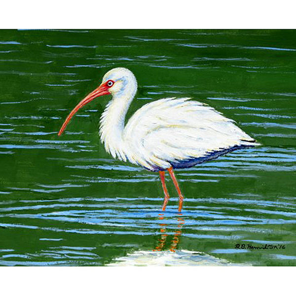 Dick's White Ibis Beach Towel