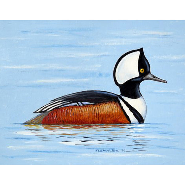 Hooded Merganser Beach Towel
