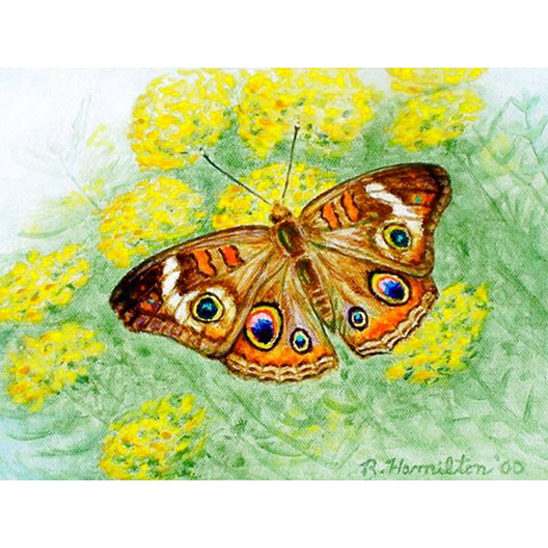 Buckeye Butterfly Beach Towel