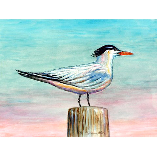 Royal Tern Beach Towel