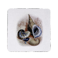 Three Shells Antique Coaster Set of 4
