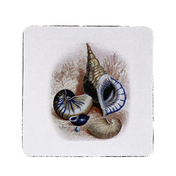 Three Shells Antique Coaster Set of 4