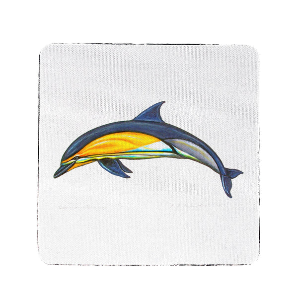 Common Dolphin Coaster Set of 4