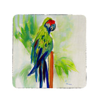 Green Parrot Coaster Set of 4