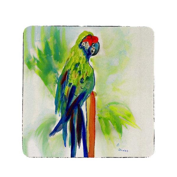 Green Parrot Coaster Set of 4