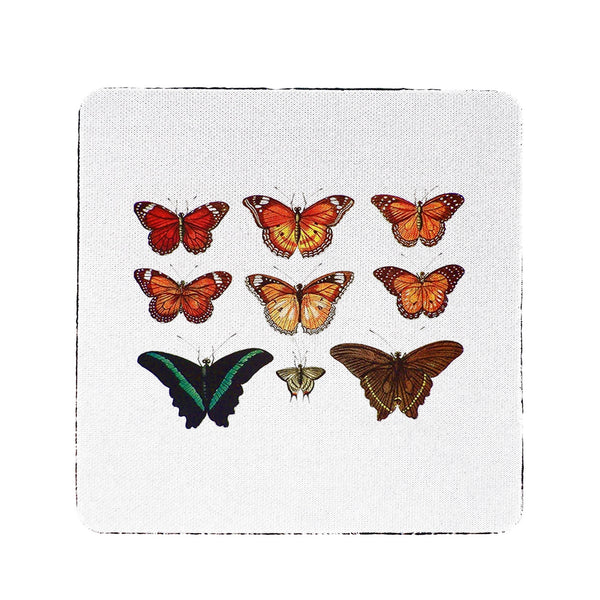 Orange Butterflies Antique Coaster Set of 4