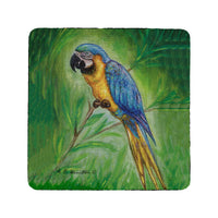 Blue Macaw Coaster Set of 4