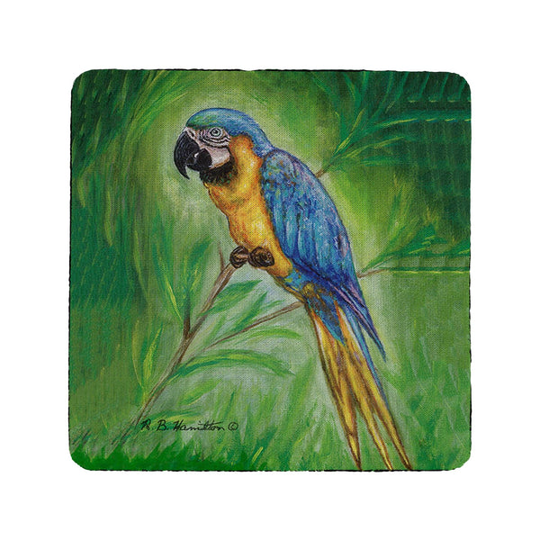 Blue Macaw Coaster Set of 4