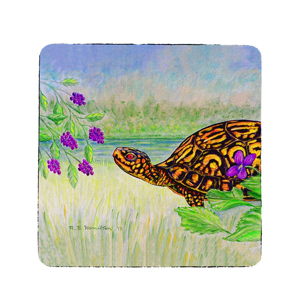 Turtle & Berries Coaster Set of 4