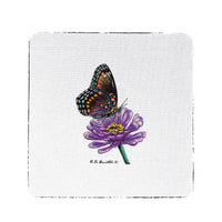 Red Spotted Purple Butterfly Coaster Set of 4