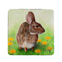 Rabbit Left Coaster Set of 4