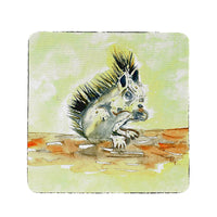 Baby Squirrel  Coaster Set of 4