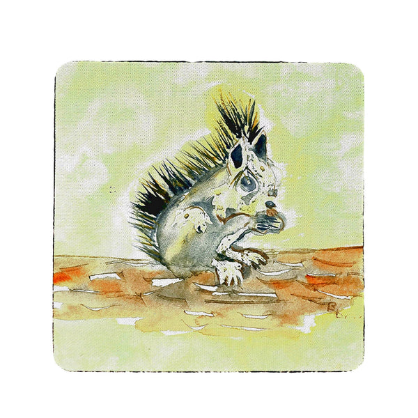 Baby Squirrel  Coaster Set of 4