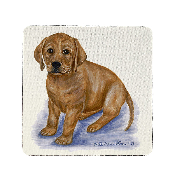Yellow Lab Coaster Set of 4