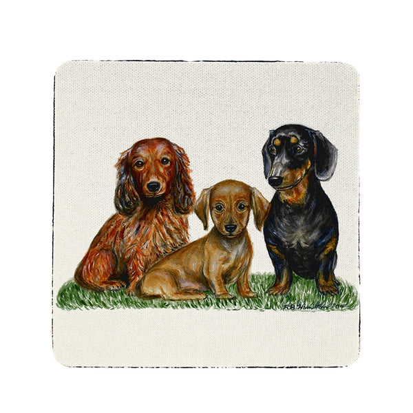 Dachshunds Dogs Coaster Set of 4