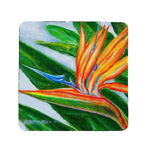 Bird of Paradise Coaster Set of 4