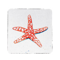 Coral Starfish Coaster Set of 4