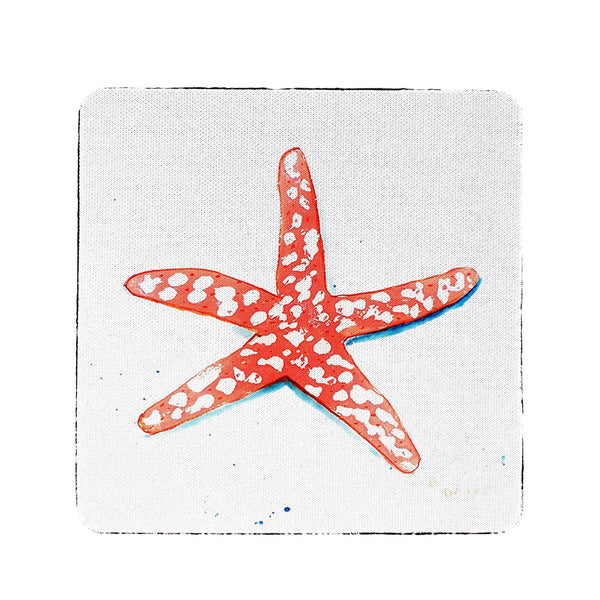 Coral Starfish Coaster Set of 4