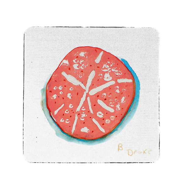 Coral Sand Dollar Coaster Set of 4