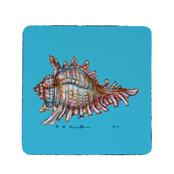 Conch on Teal Coaster Set of 4