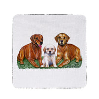 Dungeness Crab Coaster Set of 4