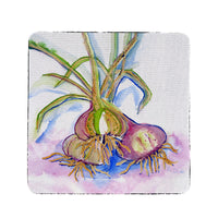Vidalia Onions Coaster Set of 4