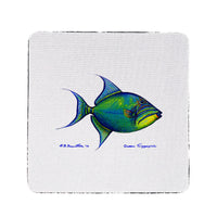 Monstera Coaster Set of 4