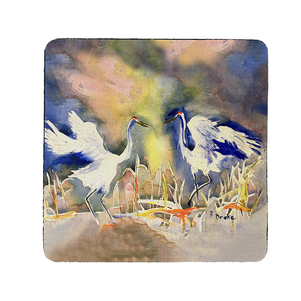 Whooping Crane Coaster Set of 4