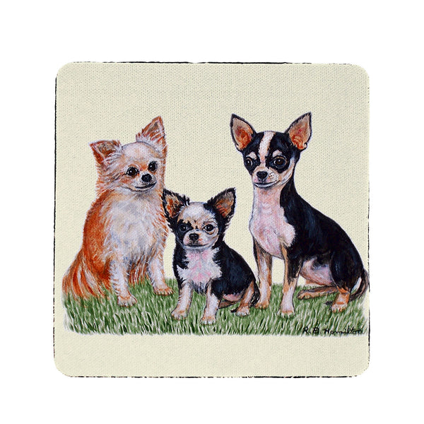 Sea Turtle & Babies Coaster Set of 4