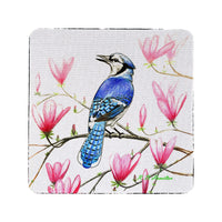 Blue Jay Coaster Set of 4