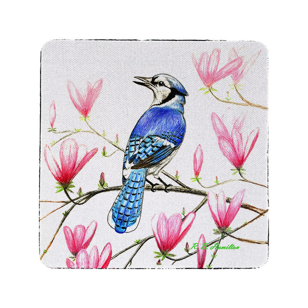 Blue Jay Coaster Set of 4