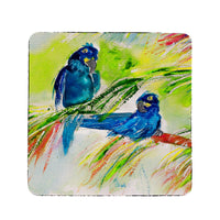 Two Blue Parrots Coaster Set of 4