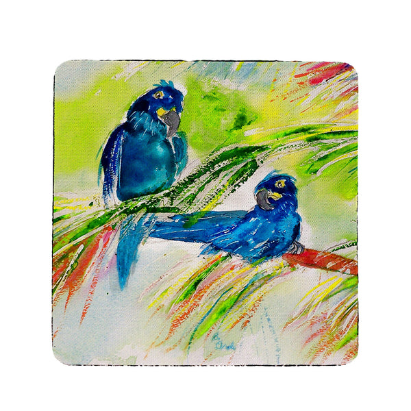 Two Blue Parrots Coaster Set of 4
