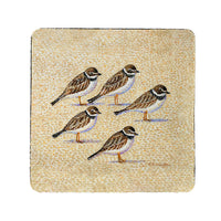 Five Sandpipers Coaster Set of 4
