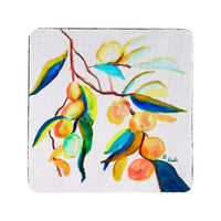Peaches II Coaster Set of 4