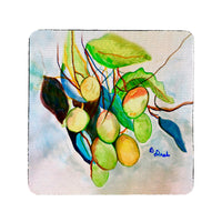 Mango Tree Coaster Set of 4