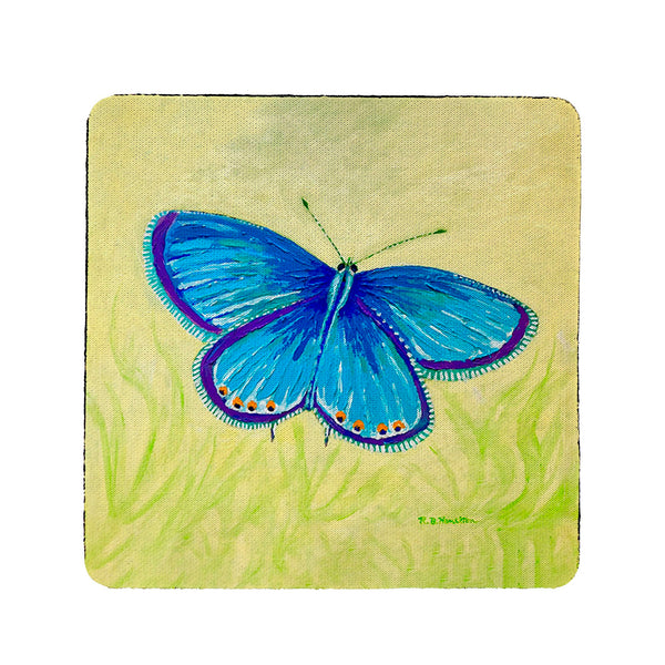 Blue Azure Butterfly Coaster Set of 4