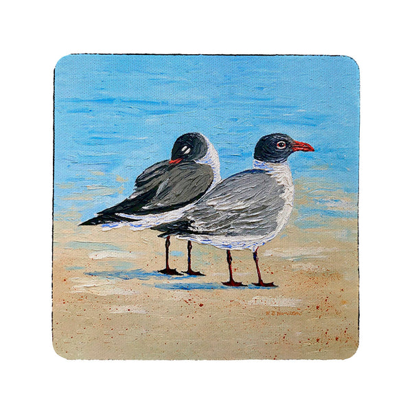 Laughing Sea Gulls Coaster Set of 4