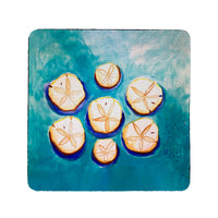 Many Sand Dollars Coaster Set of 4