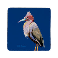 Little Blue Heron on Blue Coaster Set of 4