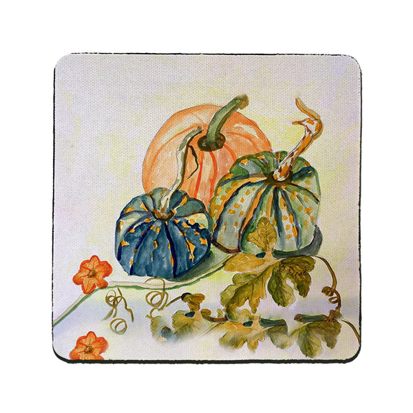 Pumpkin & Gourds Coaster Set of 4