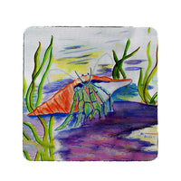 Hermit Crab Coaster Set of 4
