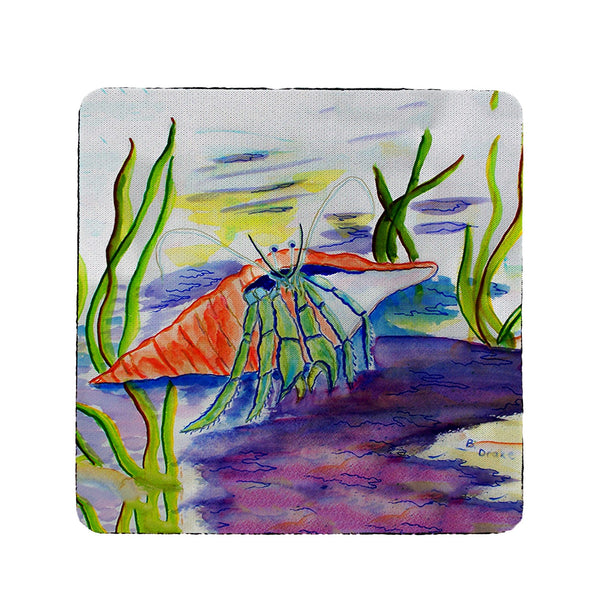 Hermit Crab Coaster Set of 4