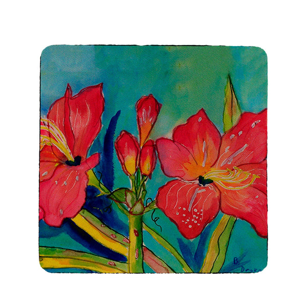 Pink Amaryllis Coaster Set of 4