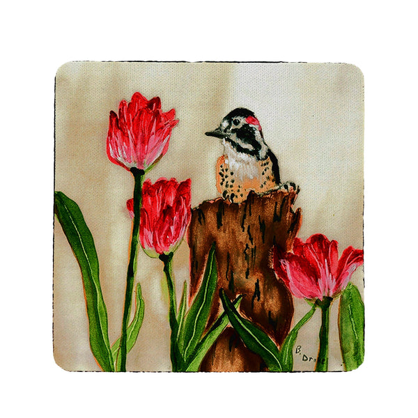 Woodpecker Coaster Set of 4