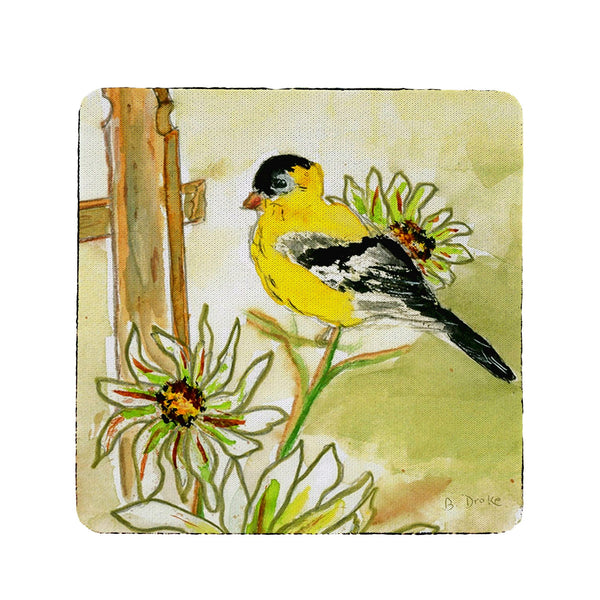 Betsy's Goldfinch Coaster Set of 4