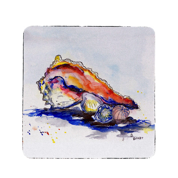 Betsy's Conch Coaster Set of 4
